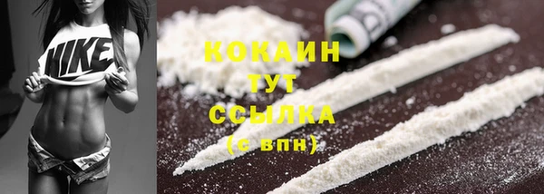 стафф Кулебаки