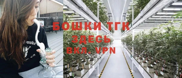 стаф Кукмор