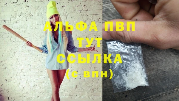 стаф Кукмор