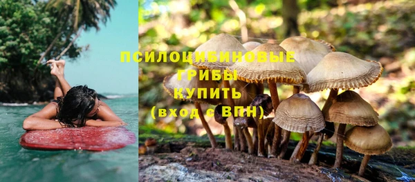 стафф Кулебаки