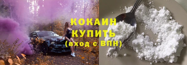 стафф Кулебаки