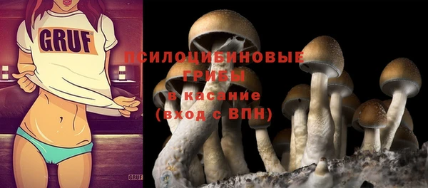 стафф Кулебаки