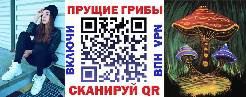 Псилоцибиновые грибы ЛСД  Купить где  Сертолово 